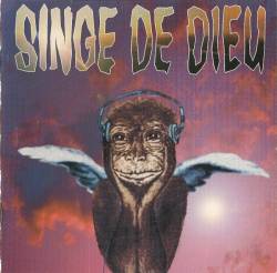 Singe de Dieu (2)